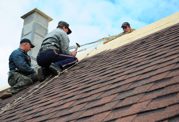 Best Residential Roof Replacement  in Fort Lee, VA